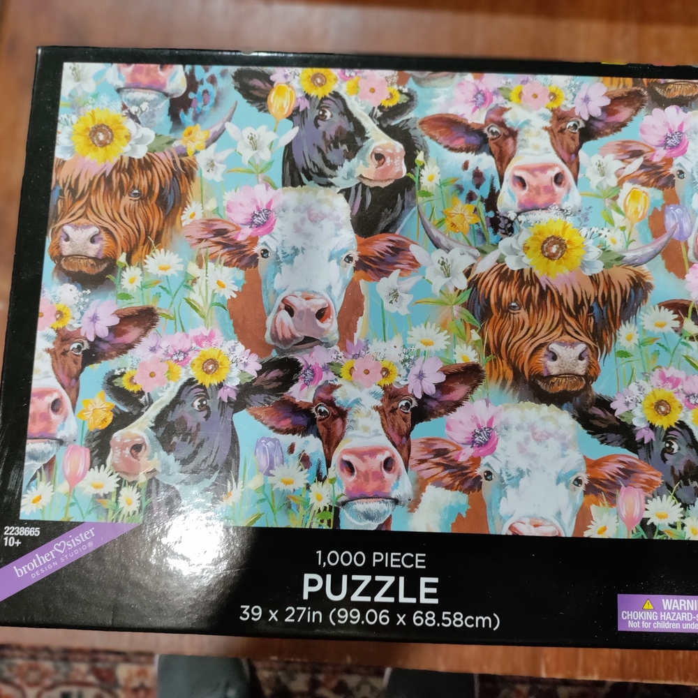 Bundle Of 2 1000 Piece Puzzles - Picture 2 of 3